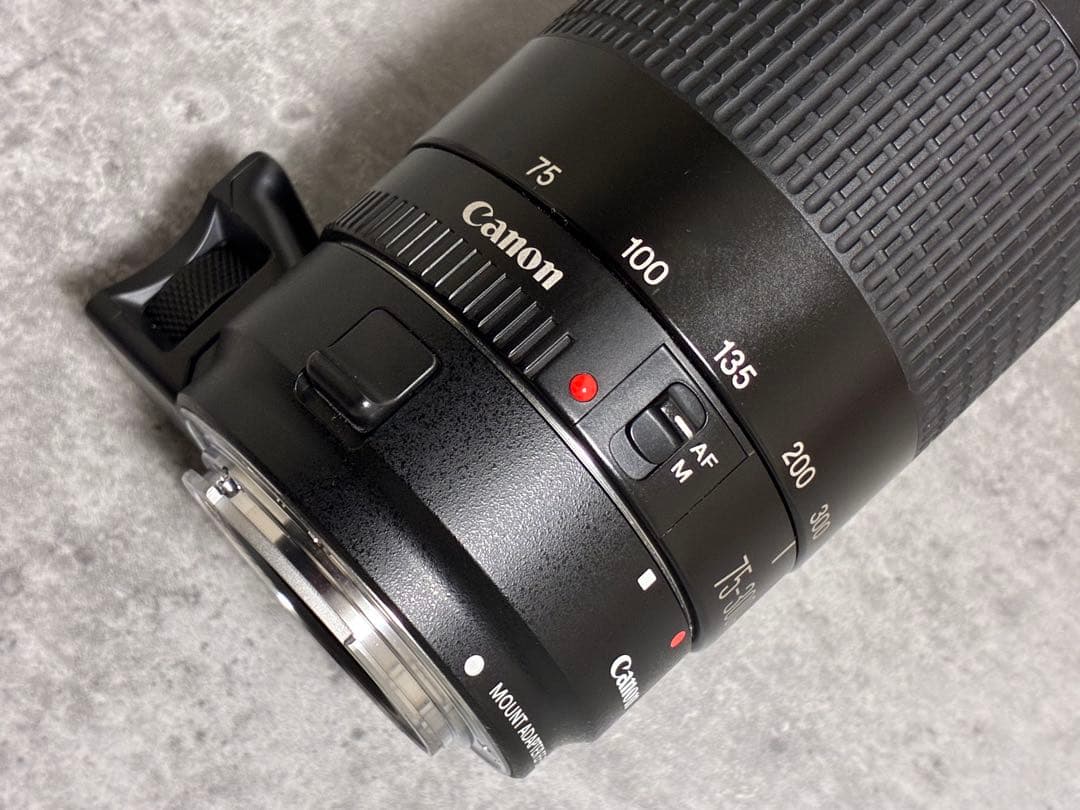 ⭐️美品⭐️Canon EF 75-300 II & EF-EOS M アダプター
