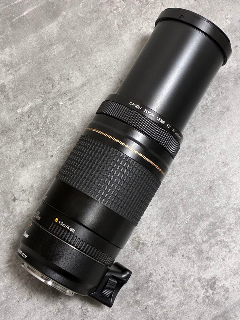 ⭐️美品⭐️Canon EF 75-300 II & EF-EOS M アダプター