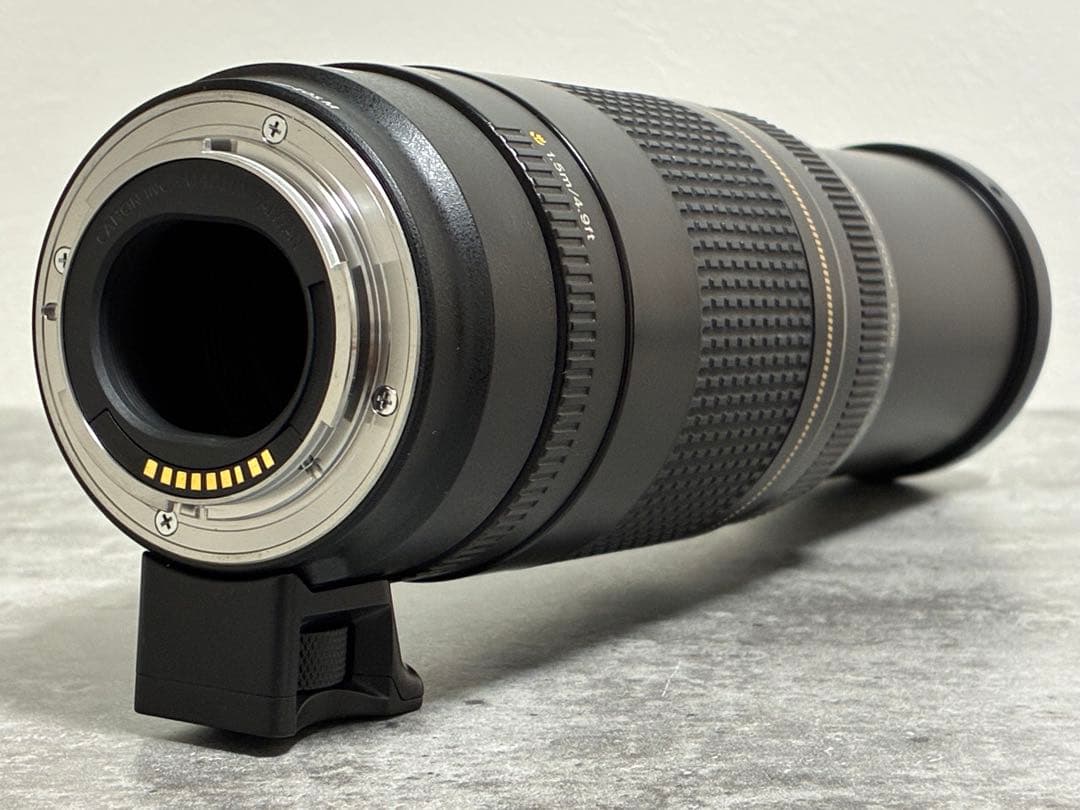 ⭐️美品⭐️Canon EF 75-300 II & EF-EOS M アダプター
