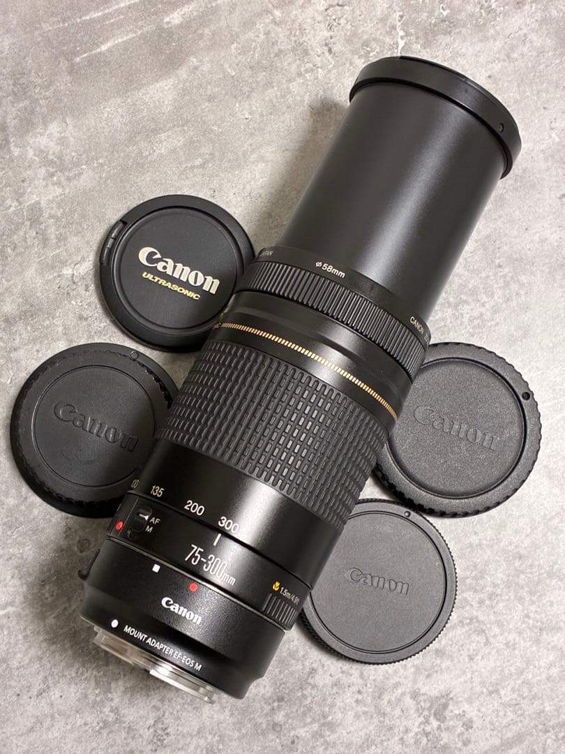 ⭐️美品⭐️Canon EF 75-300 II & EF-EOS M アダプター