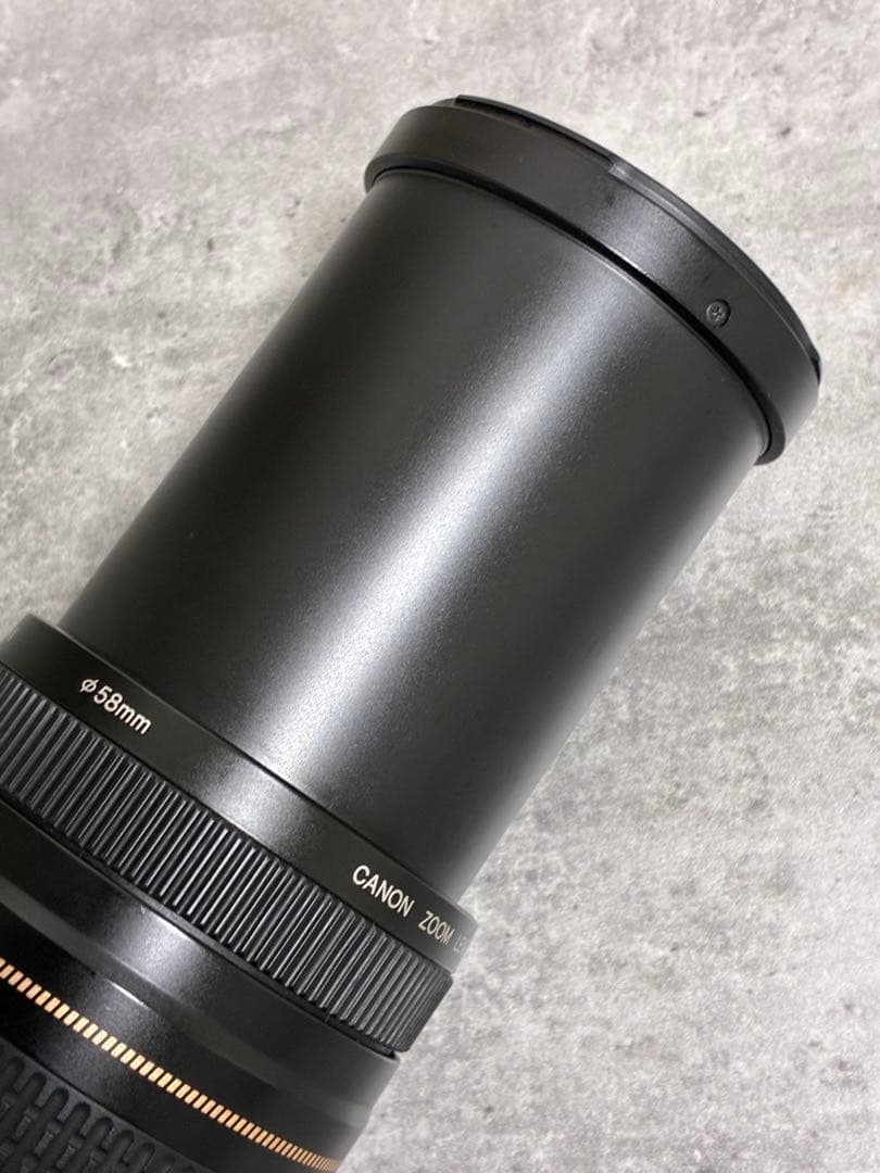 ⭐️美品⭐️Canon EF 75-300 II & EF-EOS M アダプター