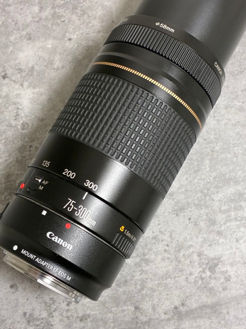 ⭐️美品⭐️Canon EF 75-300 II & EF-EOS M アダプター