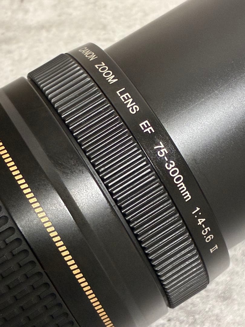 ⭐️美品⭐️Canon EF 75-300 II & EF-EOS M アダプター