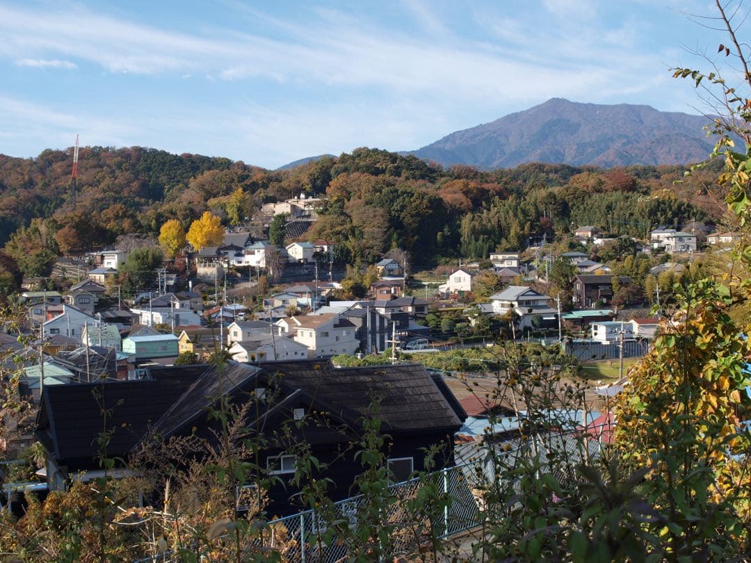 OLYMPUS E-520 ダブルズームキット