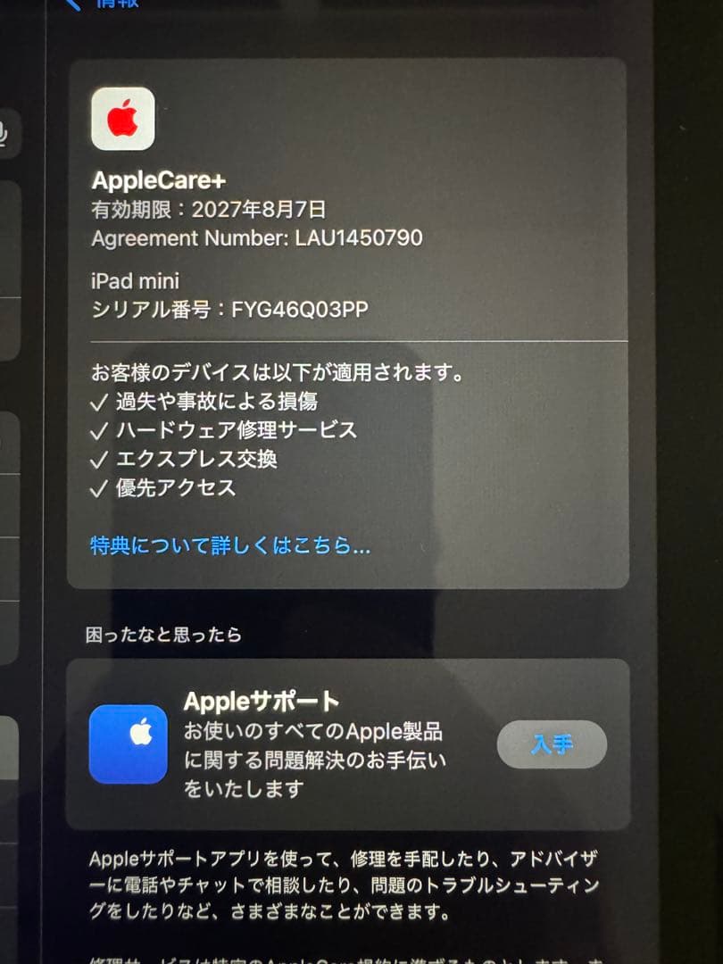 iPad mini 第7世代 128GB Wi-Fi スペースグレイ ケース付き