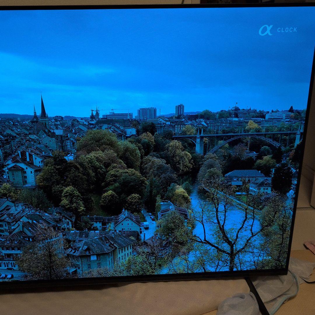 SONY BRAVIA 有機ELテレビ 55型 KJ-55A8H