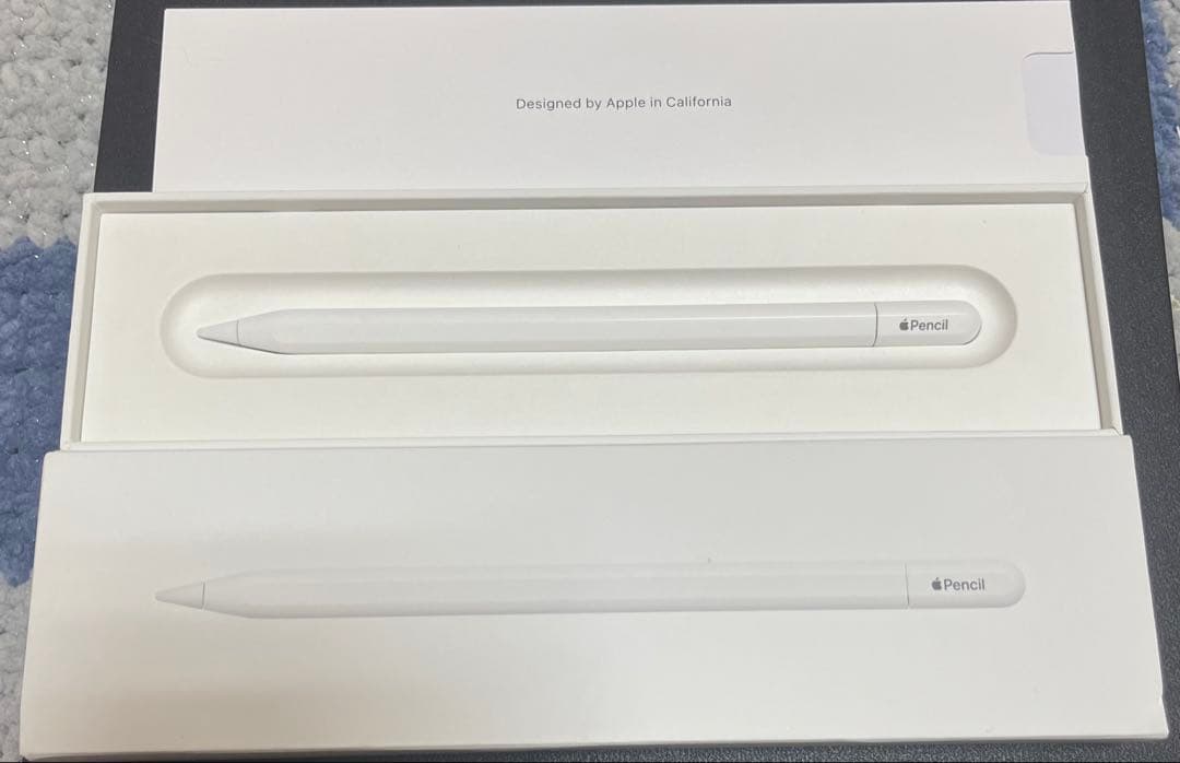 Apple Pencil (USB-C)【箱とおまけペン先付き>⩊<】
