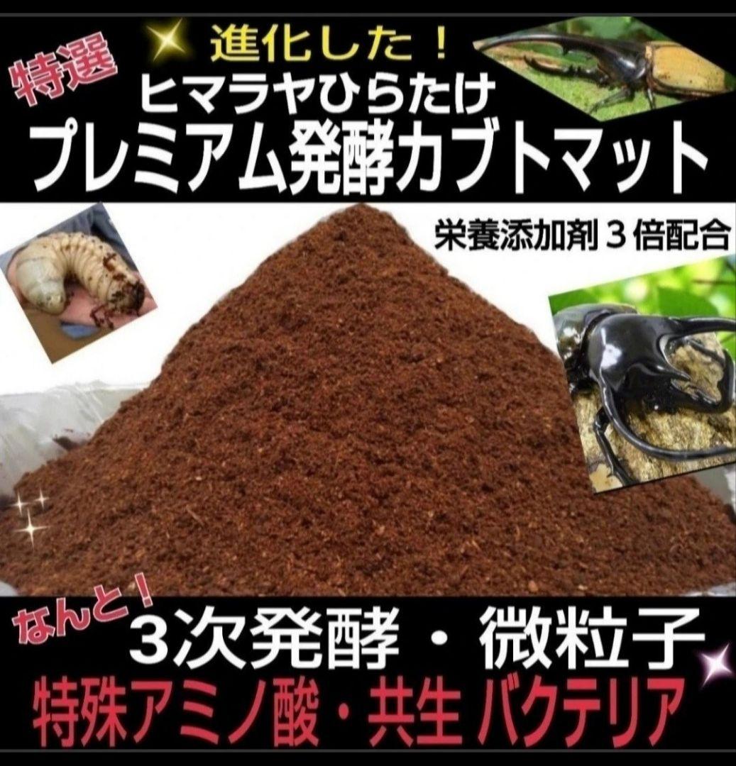 【２セット】カブトムシ幼虫を入れるだけ！プレミアム発酵マット入り㍑ボックス