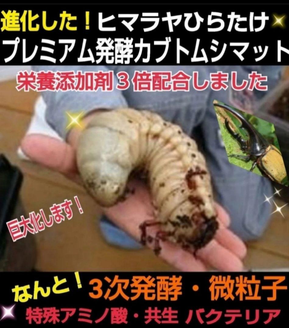 【２セット】カブトムシ幼虫を入れるだけ！プレミアム発酵マット入り㍑ボックス