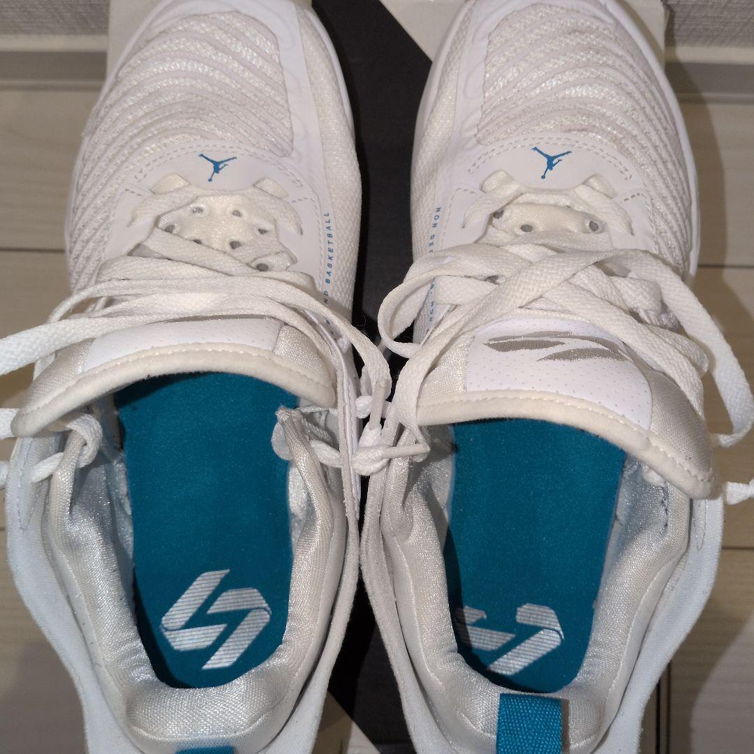 ナイキ ジョーダン ルカ 1 PF ホワイト/ネオ ターコイズ 26cm