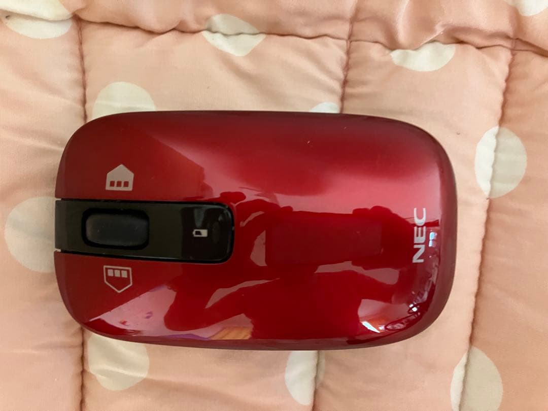 NEC ノートパソコン LaVie PC-LS550LS1YR 赤