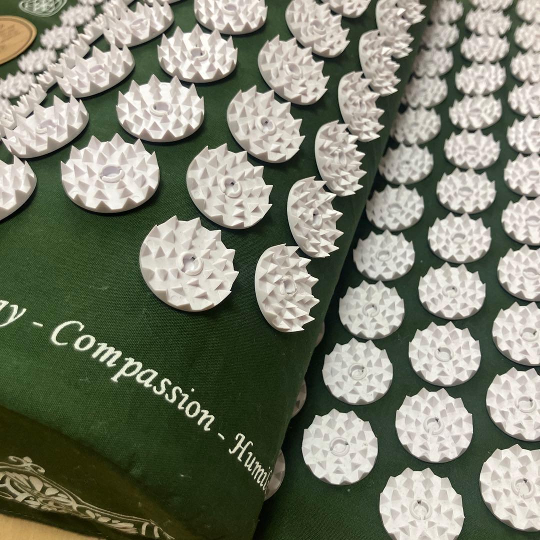 【正規品】SHAKTI シャクティ クラシックマット&ピロー　レベル2