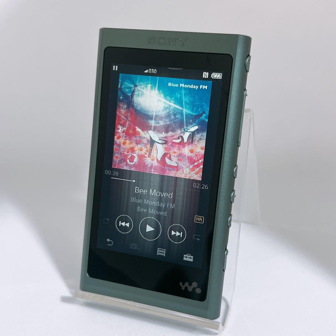 SONY ウォークマン NW-A55 16GB ホライズングリーン 液晶縦線有り