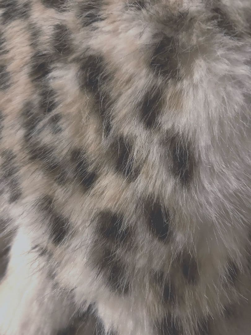 最終値下げ　[新品未使用] レオパード柄　ファーコート　豹柄