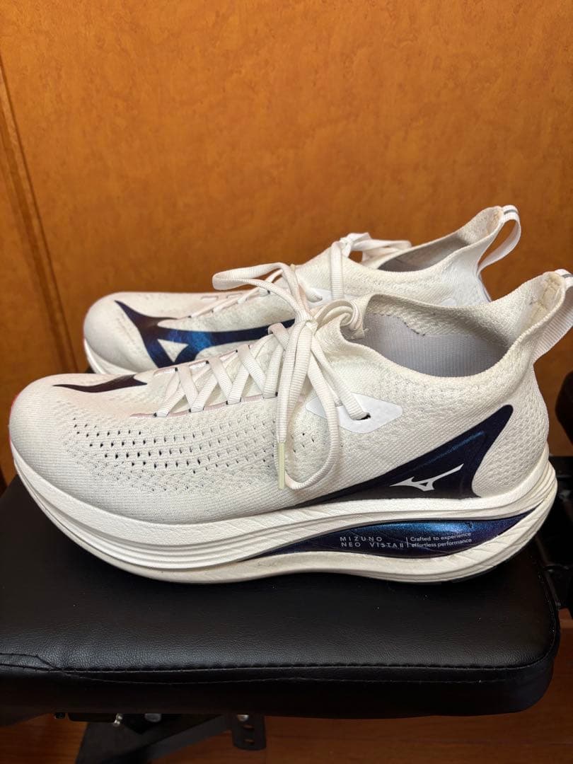 ミズノ　ネオビスタ2 27センチ