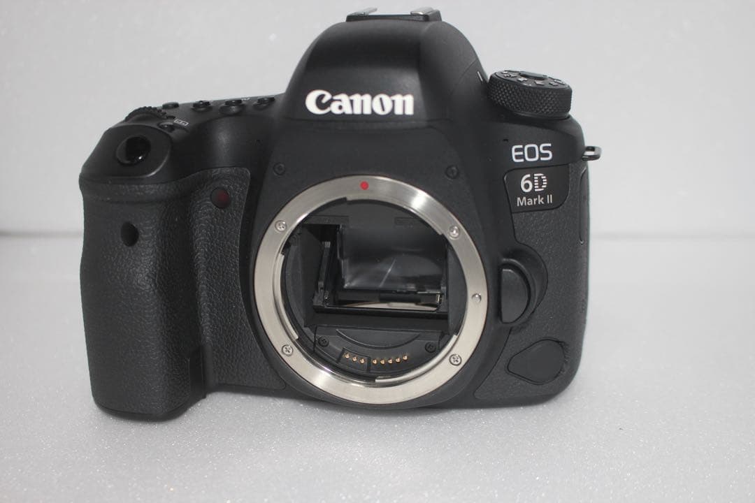 Canon EOS 6D Mark II / Canon EF 35-80㎜