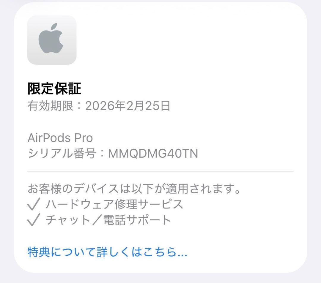 Apple AirPodsPro 第二世代 USB-C