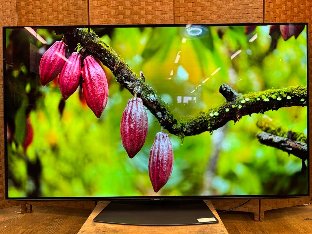 F078 SHARP 65型　有機ELテレビ　4Kチューナー内蔵　2020年製