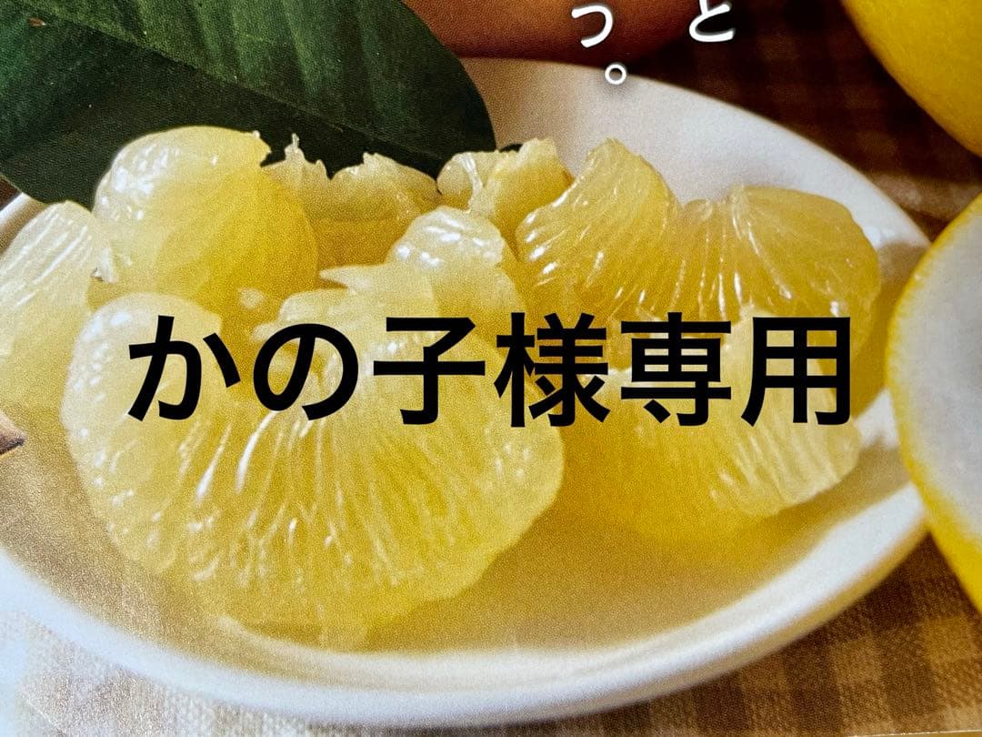 かの子　土佐文旦B品大玉20キロ