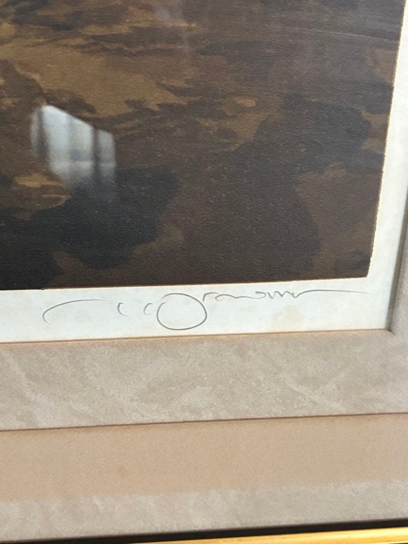 天野喜孝　出会い　リトグラフ 403/450 ヴァンパイアハンターＤ