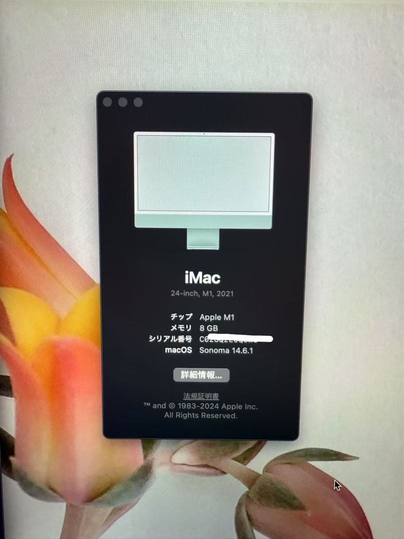 「美品」Apple iMac 24インチ M1 2021