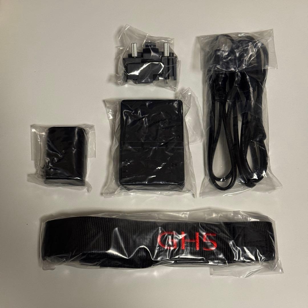 LUMIX GH5 ミラーレスカメラ 本体 DC-GH5