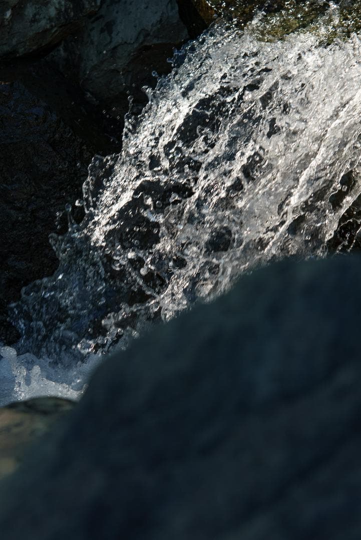 バブルボケ！Meyer TRIOPLAN 100mm F2.8 オールドレンズ