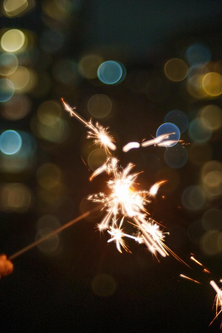 バブルボケ！Meyer TRIOPLAN 100mm F2.8 オールドレンズ