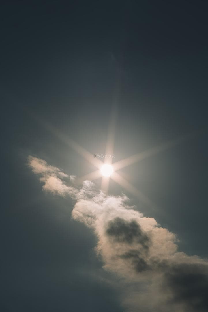 バブルボケ！Meyer TRIOPLAN 100mm F2.8 オールドレンズ