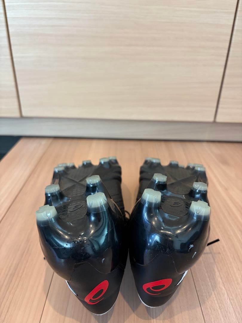 asics DSライト X-FLY 4 (シューズキーパー付き)