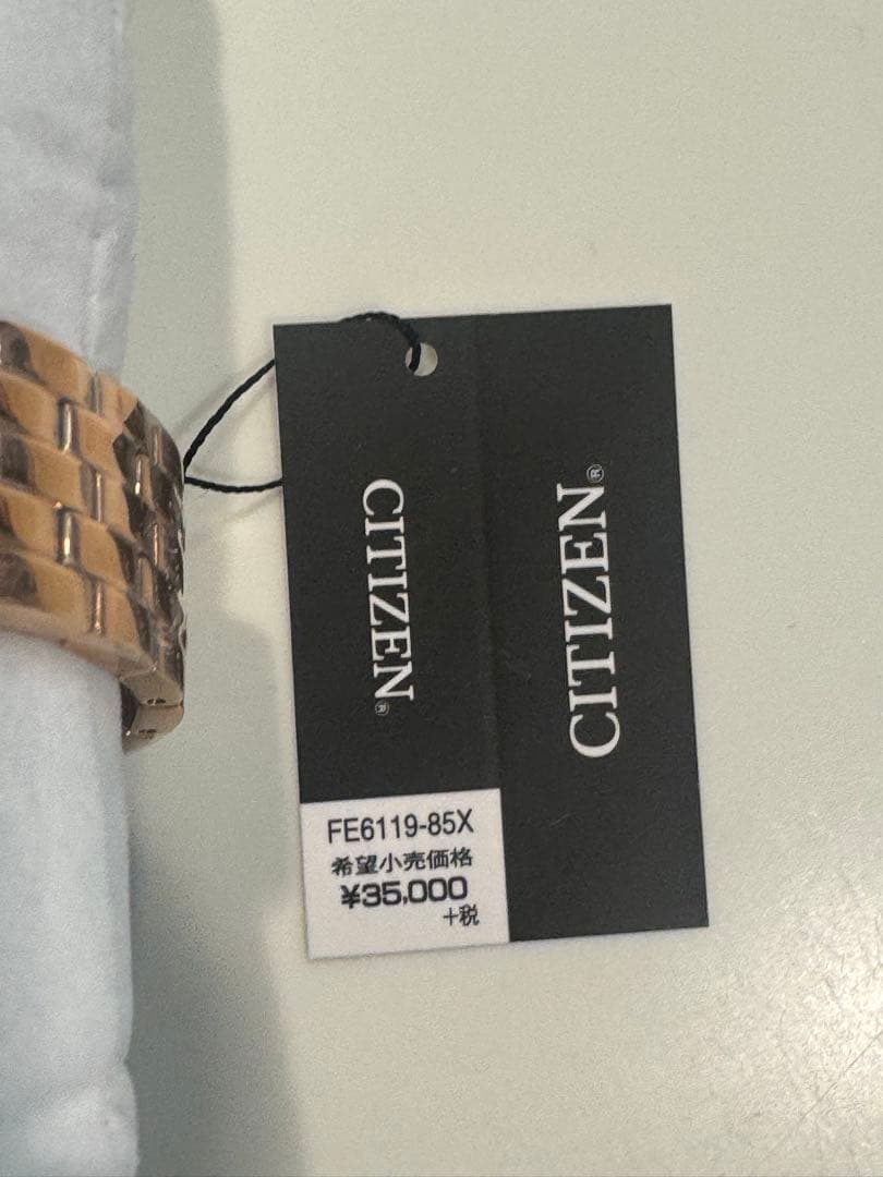★未使用★CITIZEN Eco-Drive FE6119-85X ¥35000