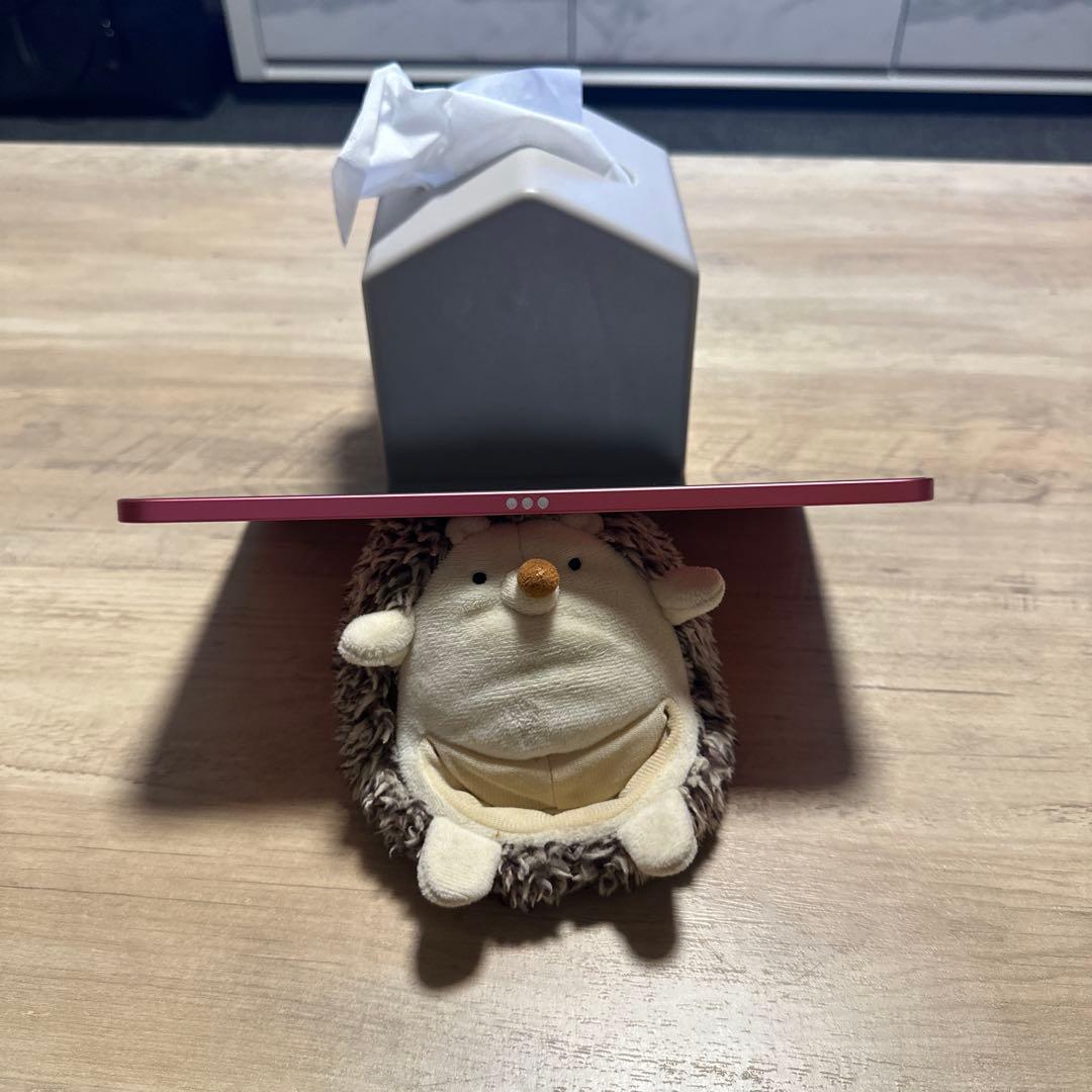 iPad 10世代 256g バッテリー寿命98 今週限定価格