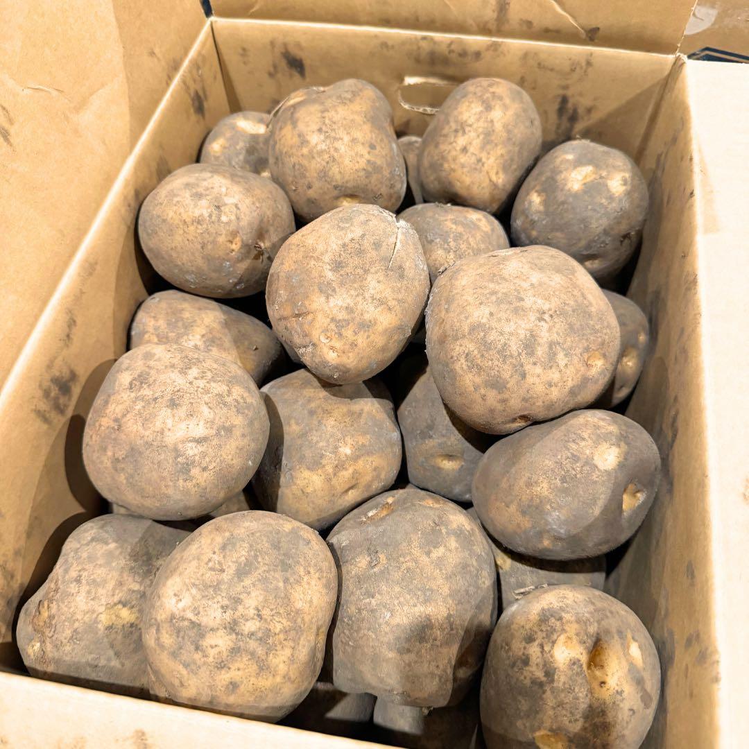 ジャンボサイズ　30kg じゃがいも　26