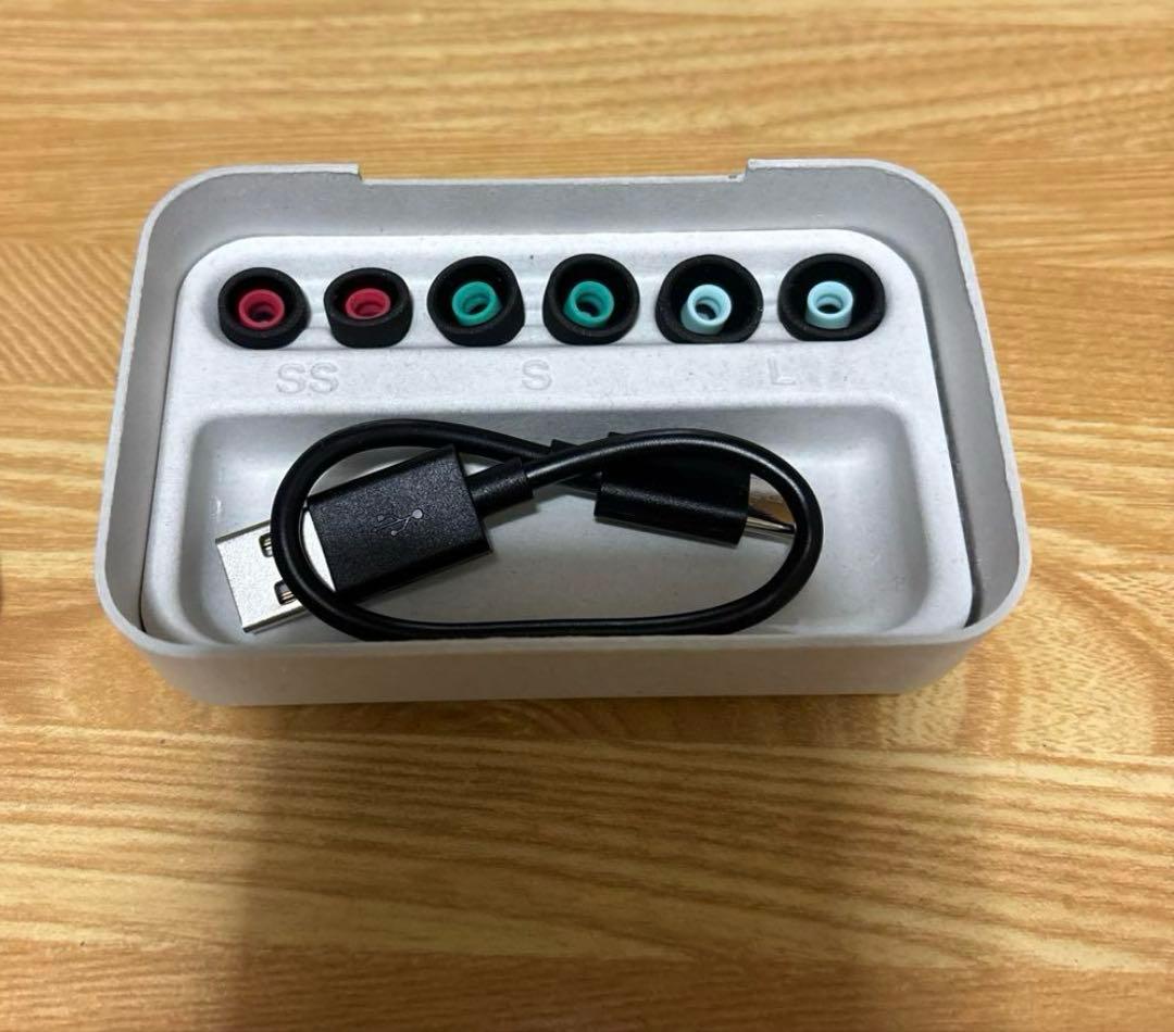 SONY WF-1000XM5 イヤホン 保証書付き