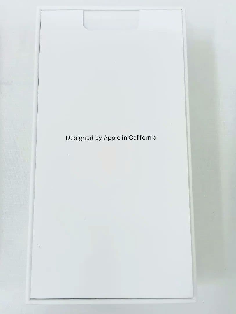 〘美品〙Apple iPhone SE　64GB　本体・充電器・イヤホン付きYK