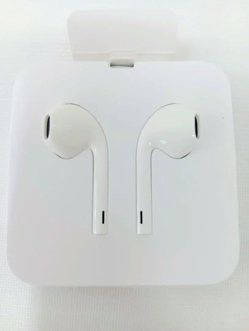 〘美品〙Apple iPhone SE　64GB　本体・充電器・イヤホン付きYK