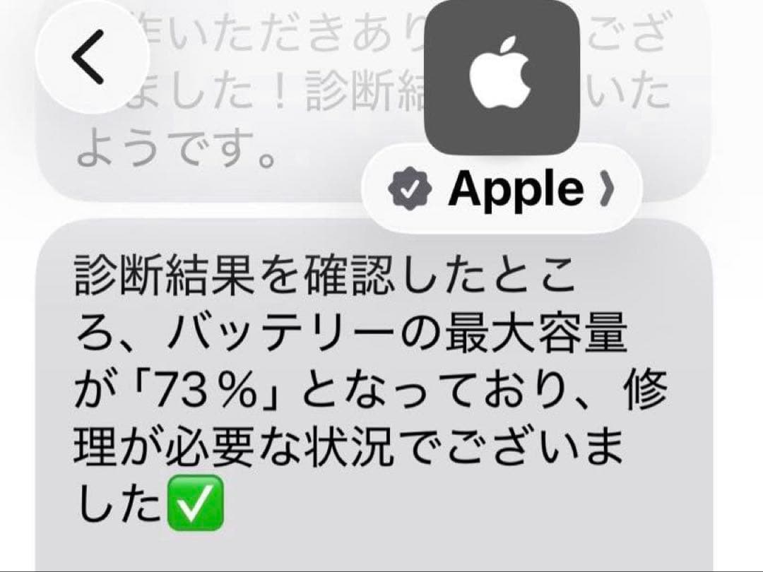 iPad 第9世代 Wi-Fi シルバー 73%