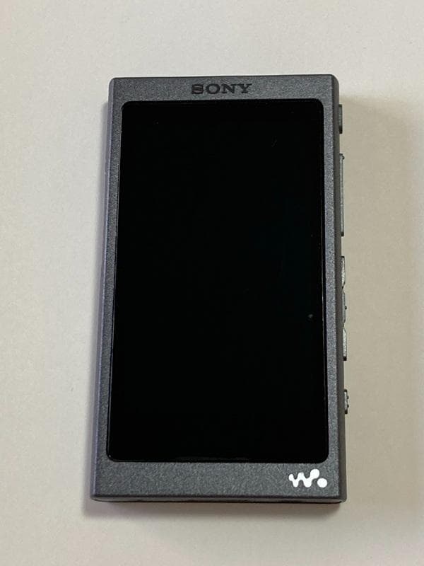 ソニー ウォークマン NW−A35 (microSD＋USBケーブル付き)