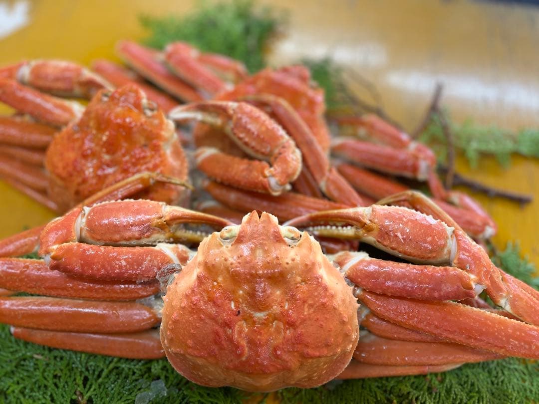 みかん 様　冷凍ボイル　本ズワイガニ5尾/総重量3.0kg