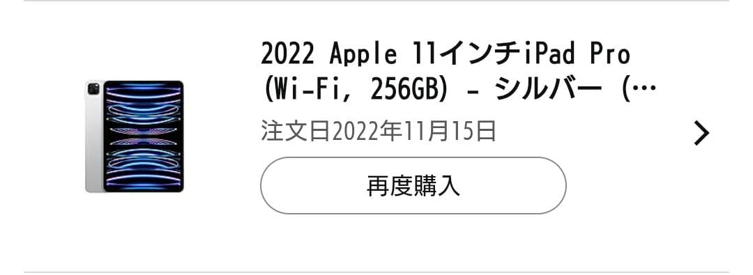 iPad Pro11インチ第4世代 256GB Wi-Fi