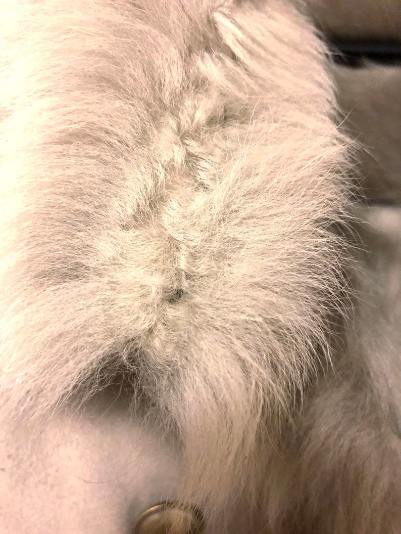 ゆっち　クリーニング済　羊毛　100% リアルファー　ムートンコート