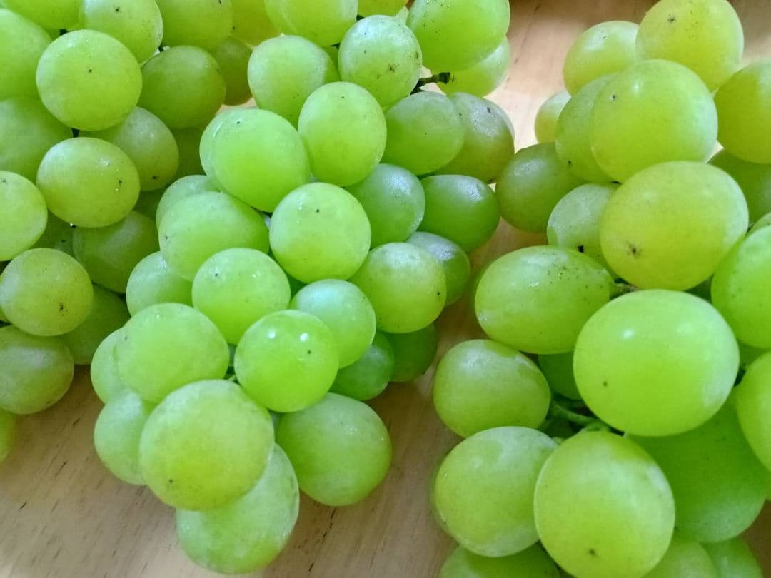 加工用 ぶどう シャインマスカット 粒 5kg 5キロ