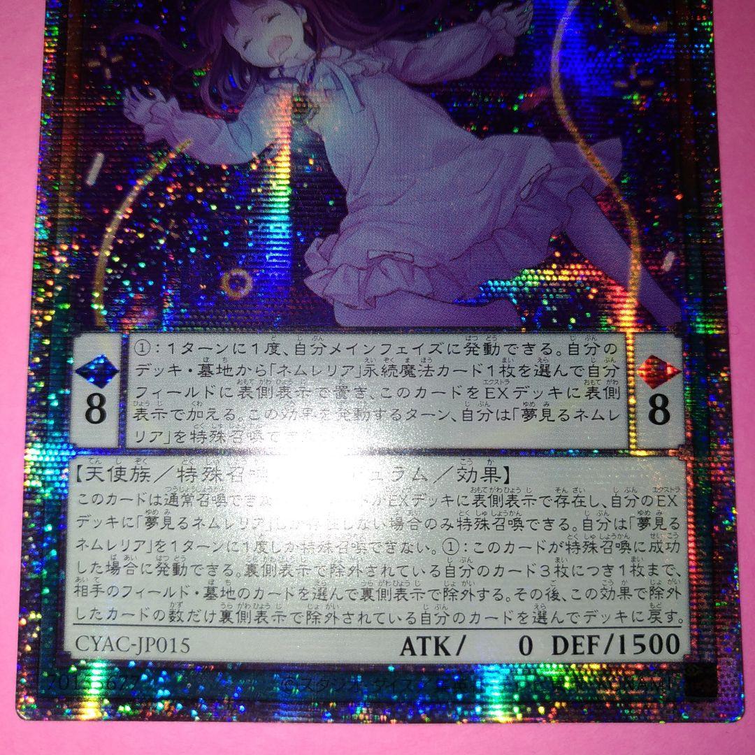 希少！アジア ネムレリア プリズマ