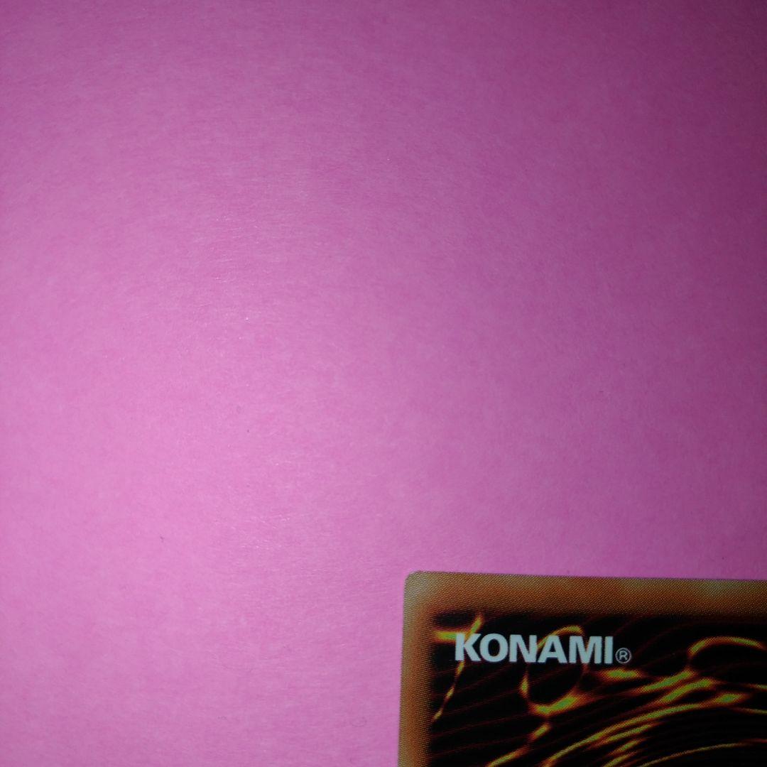 希少！アジア ネムレリア プリズマ