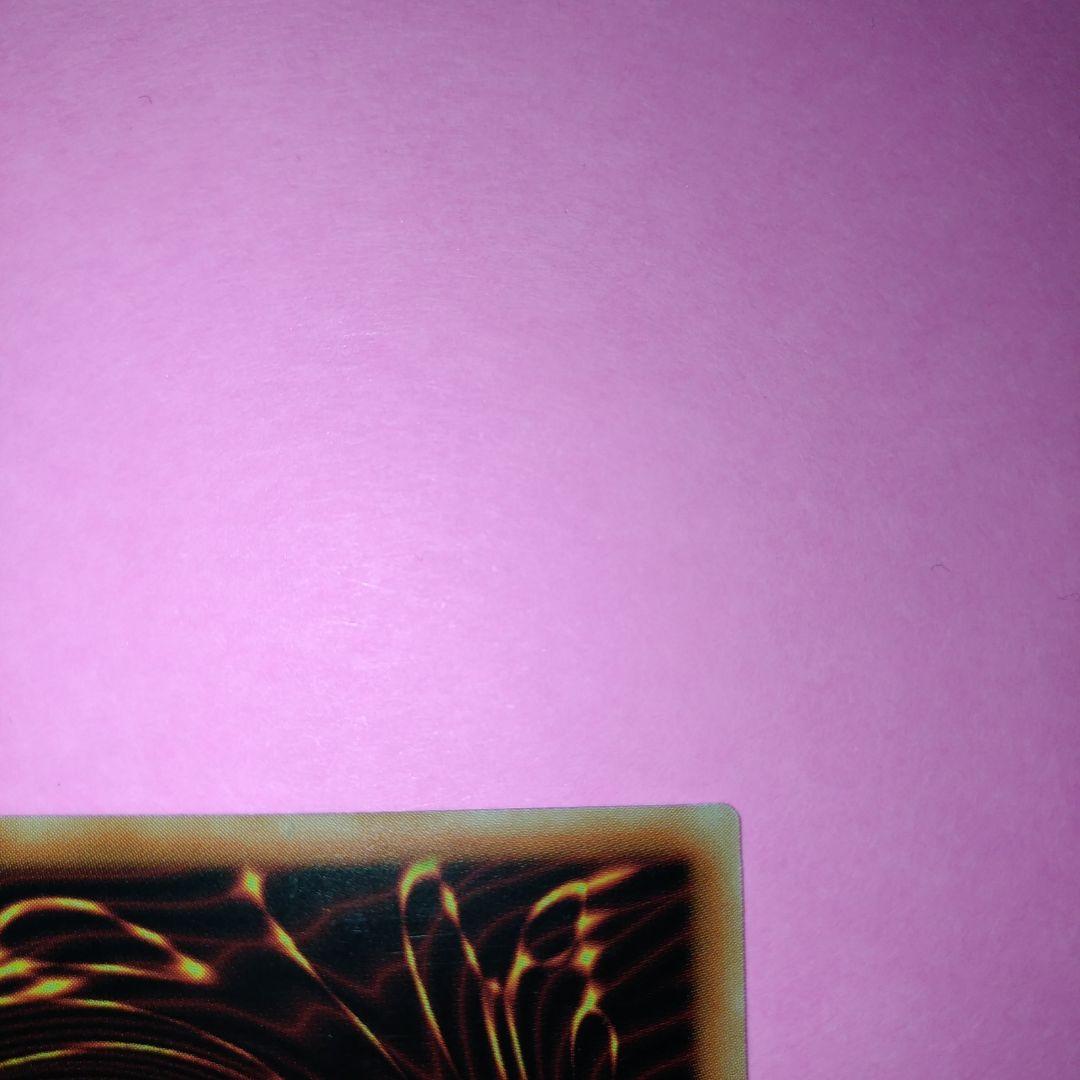 希少！アジア ネムレリア プリズマ