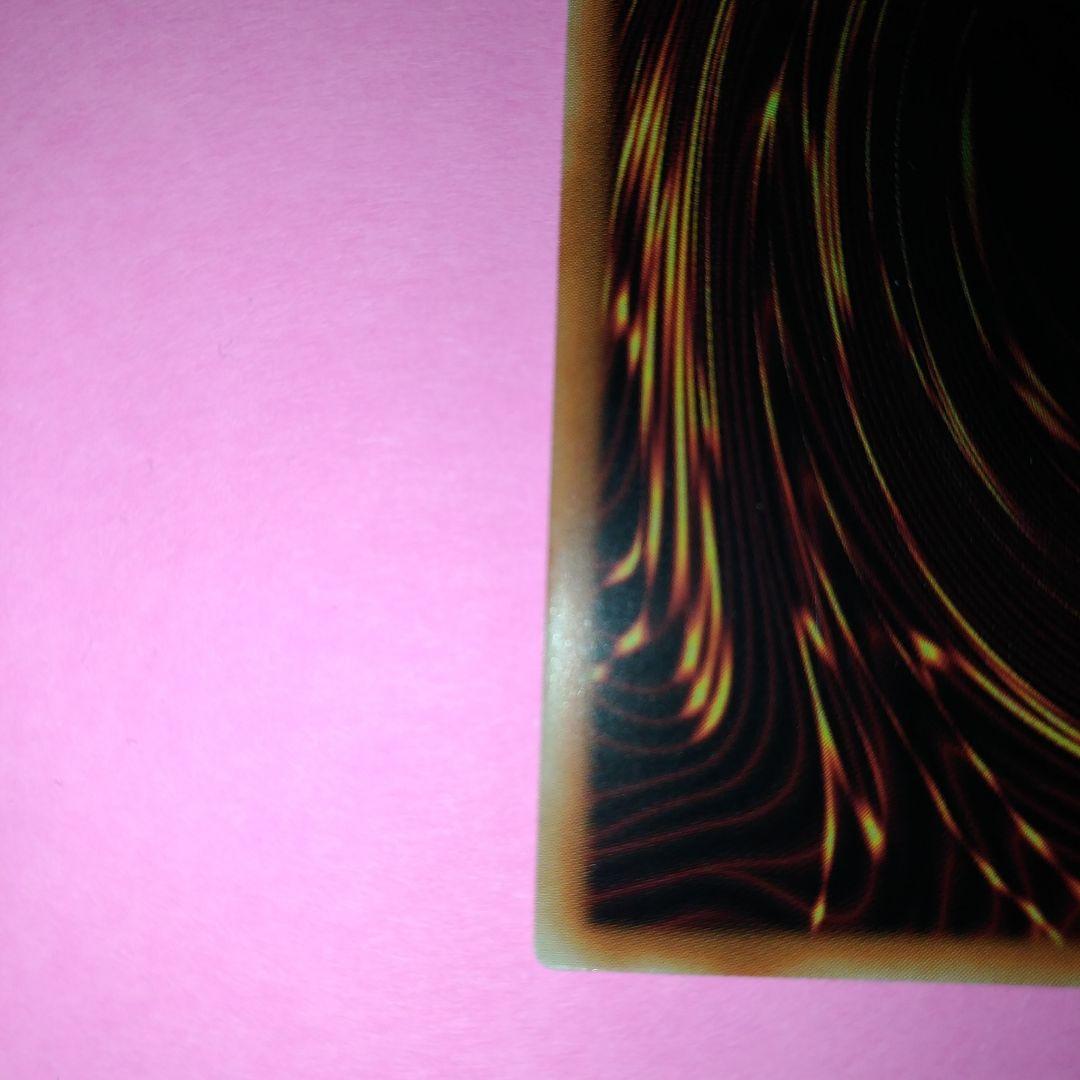 希少！アジア ネムレリア プリズマ