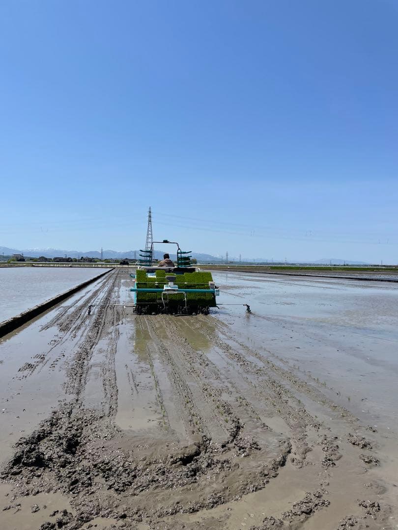新米　富山県産コシヒカリ　玄米