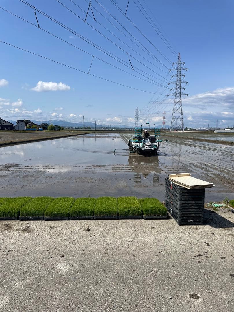 新米　富山県産コシヒカリ　玄米