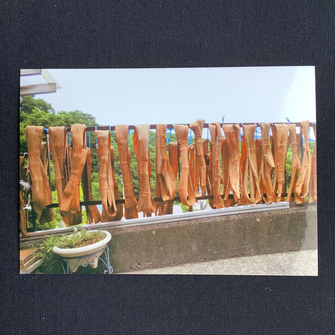 乾燥山ぶどう蔓2kg セット。　7-098