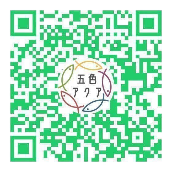 【訳あり特価】メダカ飼育ケース 56㍑訳あり品黒x1個 + 36㍑通常品x4個